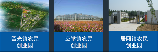 全力助推河南新鄉(xiāng)封丘縣委托招商引資，立足特色產業(yè)，打造魅力封丘