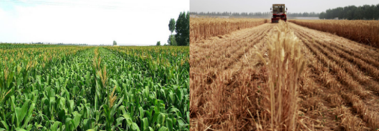 全力助推河南新鄉(xiāng)封丘縣委托招商引資，立足特色產業(yè)，打造魅力封丘