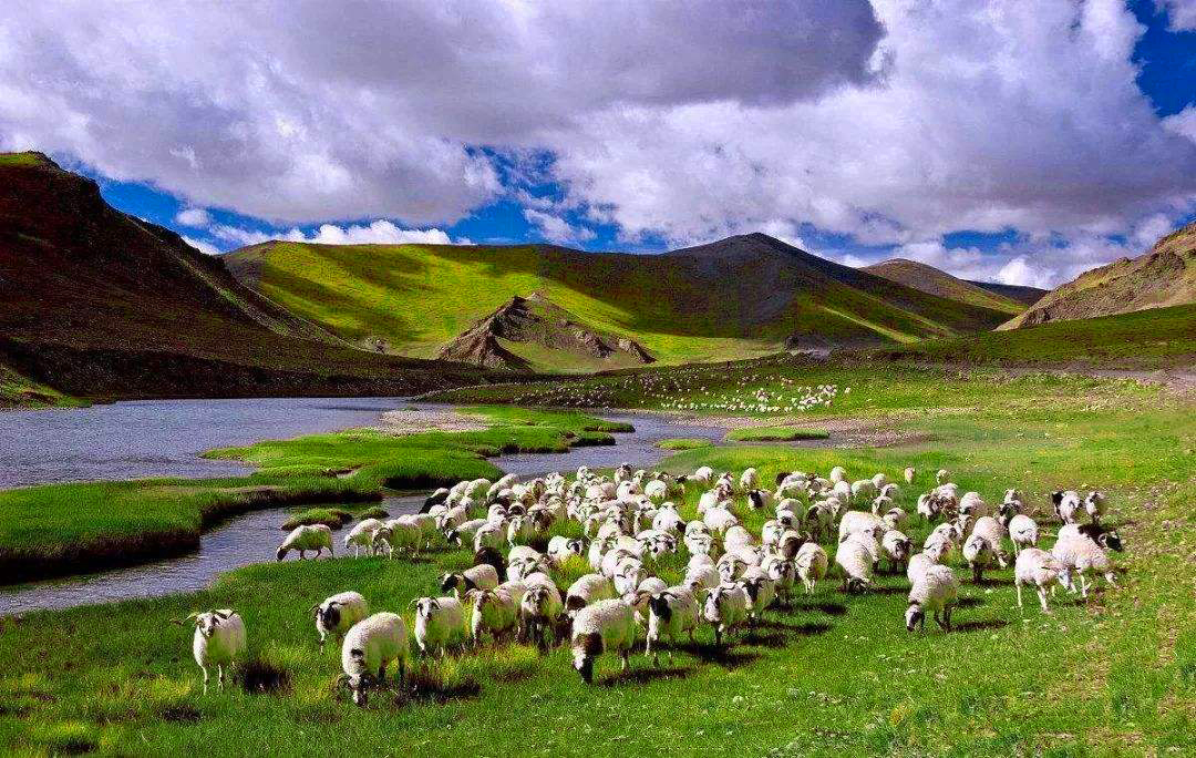 總投資43億，年產(chǎn)值100億！大型集團建筑材料全產(chǎn)業(yè)鏈投資選址項目一期成功完成試機，年產(chǎn)30萬噸石英砂！